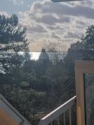 Top Sułomino Top Sułomino