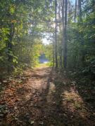 Top Sułomino Top Sułomino