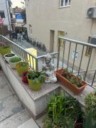 Body and Mind Detox Retreat on Punat, Krk Island, Croatia