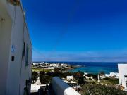 Top Parasporos Top Parasporos