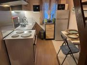 Fir tree studio Agnibay