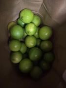 Baerami Pines Retreat