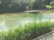 Top Sankt Veit an der Glan