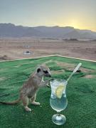 Brandberg White Lady Lodge