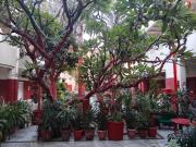 Top Agra