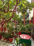 HOTEL TOURIST REST HOUSE Agra HOTEL TOURIST REST HOUSE Agra