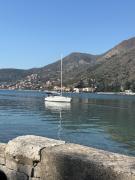Top Kotor