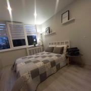 Cozy small apartment #5A