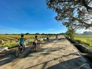 Top Baliuag