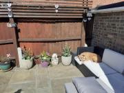 Home from home Single or double room Netflix or Virgin TV Wifi & free parking