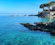 Top Bastia