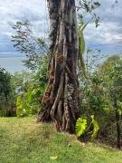Top Morro de São Paulo
