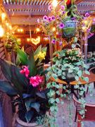 A beautiful award winning bungalow