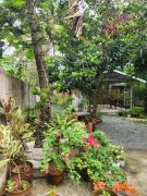 Top Silang