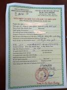 Nhà của Nhím - Lô Lô chải