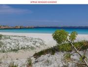 Top La Maddalena Top La Maddalena