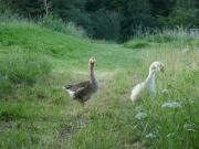 Top Beaumont-de-Lomagne