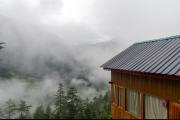 Top Jibhi