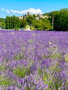 Top Beaumont-de-Pertuis