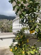 Top Eleftheres Top Eleftheres