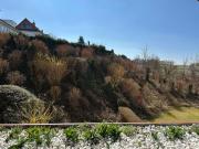 Ferienbutze Harz Drachenperle