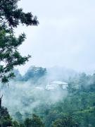 The1964 green paradise hostel