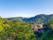 Lush Breeze Mount View