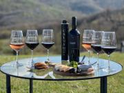 Terre di GIORGIO Agriturismo Villa la Palazzetta