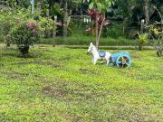 Top Cachoeiras de Macacu