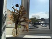 Fiona Place in Winchester city center- 3 Double Beds, 2 Single Beds, 2 Sofa Beds - FREE parking available upon request