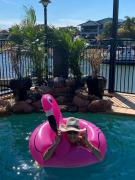 Canal living 3 bed or 1 bed with Pool