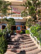 Top Ourika