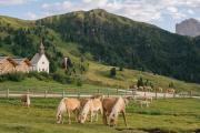 Zallinger Dolomites