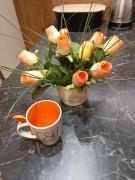 Top Ustroń Top Ustroń