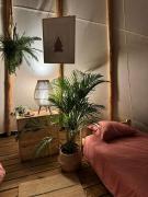 Top Cieksyn Top Cieksyn