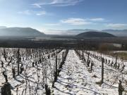 Domaine de Chevigneux