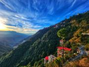 Royal Cedar BnB Simla