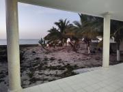 Top Chelem Top Chelem