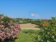 Top Salvagnac Top Salvagnac