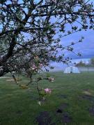 Top Dvory nad Lužnicí