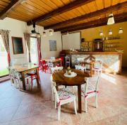 Top Dvory nad Lužnicí