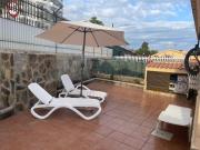 Santafe holiday palm 42