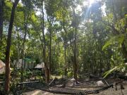 Top Cozumel Top Cozumel