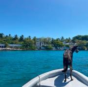 Top Cartagena de Indias