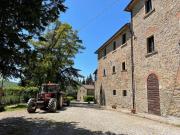 Top Misciano