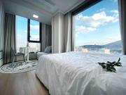 CentralViewSuite - S Class