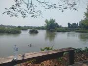 Bounhome Guesthouse Bounhome Guesthouse