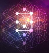 Top Slovenska Bistrica Top Slovenska Bistrica