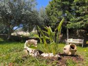 Top San Corrado di Fuori