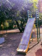 Top Sasan Gir